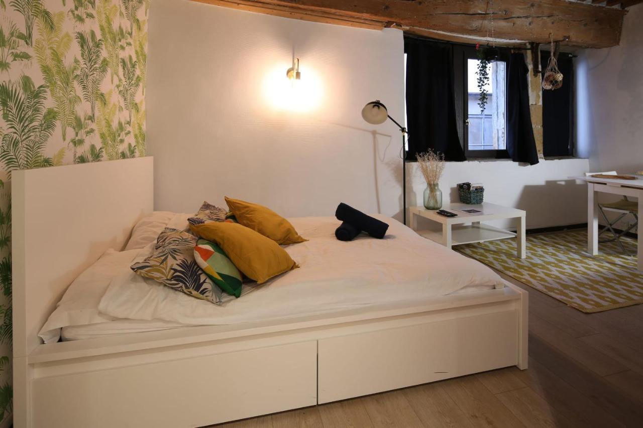 Charming studio CENTRE-VILLE de LYON Buitenkant foto