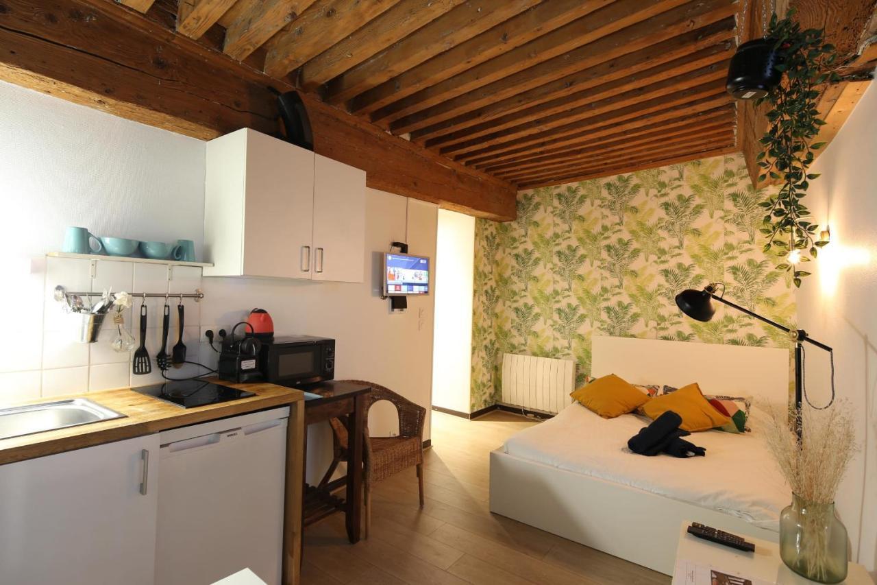 Charming studio CENTRE-VILLE de LYON Buitenkant foto